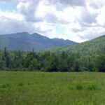 Special Feature: The Adirondack Park: The Next Twenty-Five Years