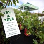 Client in the Spotlight: Volunteering With The New York Restoration Project (NYRP) for a Greener, Healthier, More Sustainable City