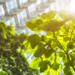 C-PACE and New York City’s Path to a Clean Energy Future
