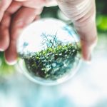 Looking Ahead: 2019 Through a Climate and Energy Lens