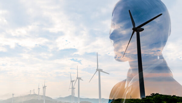 Capalino Energy, Environment + Sustainability in NYC