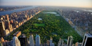 With the 2021 Mayoral election around the corner, now is the time to ask: which candidates are going to stand up for environmental justice in NYC?