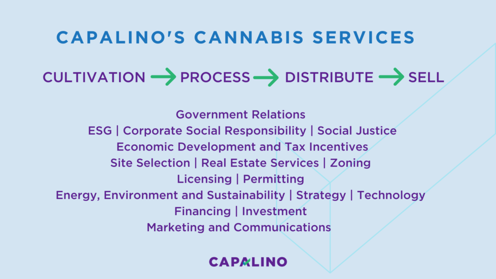 Capalino's Cannabis Advisory services chart